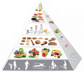 piramida żywienia iżż